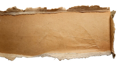 torn ripper High-Resolution Closeup of old Paper Texture with Detailed Grain Patterns on white background 