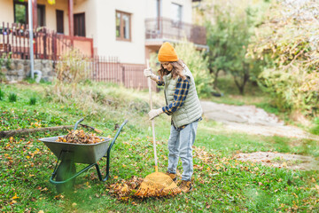 Young happy woman collecting autumn leaves in the backyard of a country house using a rake and cart