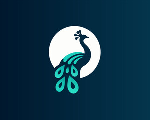 Fototapeta premium Peacock bird logo design vector illustration