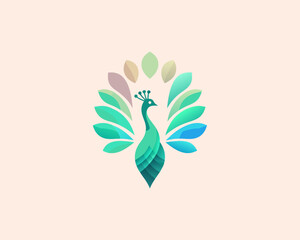 Colorful Peacock bird logo icon design vector illustration
