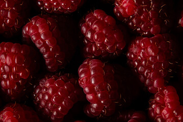 Dark raspberries still life scene with dramatic light 