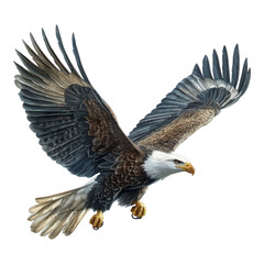 3D cartoon vector realistic illustration of an eagle flying, on a white background.