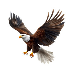 Obraz premium 3D cartoon vector realistic illustration of an eagle flying, on a white background.