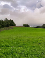 Green meadow in Bieszczady Mountains Poland.