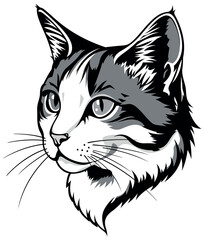 Fototapeta premium Black Drawing of Cats Head Isolated on White Background - Illustration, Vector