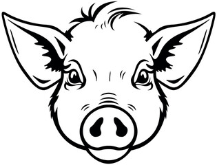 Black Drawing of Piggy Head Isolated on White Background - Illustration from Front View, Vector