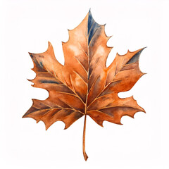 Naklejka premium Beautiful brown autumn leaf painted in watercolor, perfect for greeting cards and seasonal artwork. Close-up drawing. Watercolor painting of fall foliage and isolated on white background.