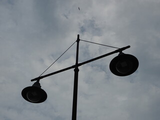 Ave volando sobre farola