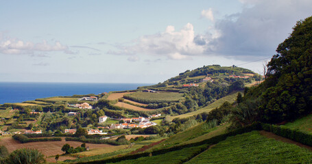 Tea plantation located on the coast of the Portuguese Azores. The background is a blue sky above green hills. Tea leaves in the foreground are striking in green. Further on you can see the vastness of