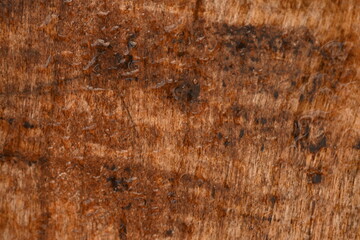 wet brown wood flooring abstract as background, old wood texture close up as a background,