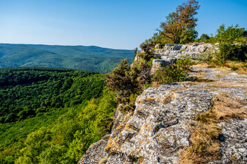 Top view of the green valley on a summer day.