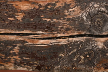 Naklejka premium wet brown wood flooring abstract as background, old wood texture close up as a background,