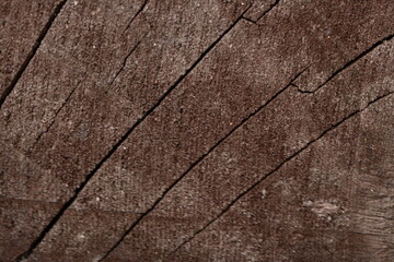 wet brown wood flooring abstract as background, old wood texture close up as a background,