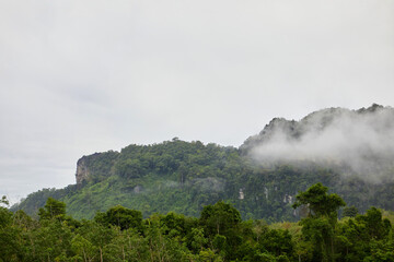 Fototapeta premium Misty morning in the mountain 