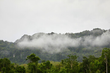 Misty morning in the mountain 