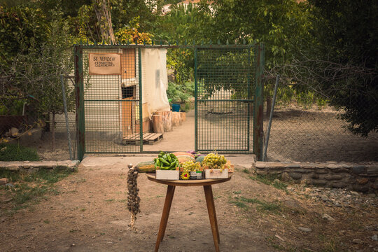fruits in a garden
