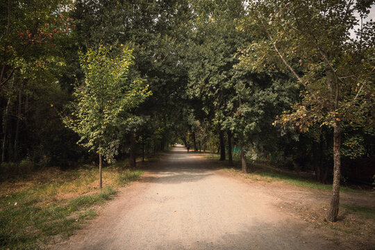 path in the park