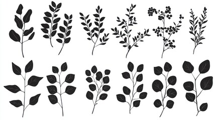 Fototapeta premium Silhouette botanical designs of various leafy branches and berries in black on a white background Generative AI