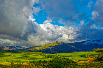 Fruit plantations in a wide valley on the Bo-Piketberg mountain plateau in overcast weather in the Western Cape, South Africa