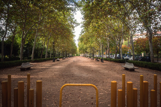 road in the park