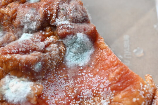 mold on meat, spoiled meat close-up as background, mold fungi on food, on compchen meat, spoiled food 