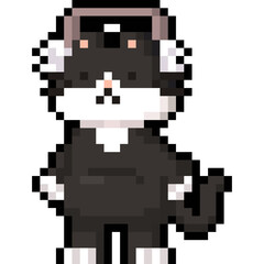 Cat Character Wearing Ear Warmer