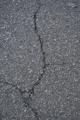 cracks on grey asphalt, repair of old road surface as background, wet pavement texture, gray asphalt texture with red and white gravels	
