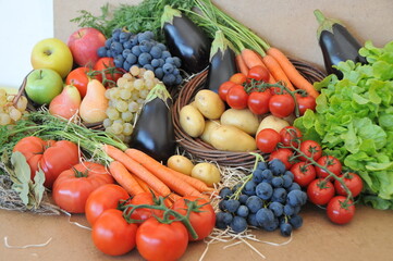 Assortiment de fruits et légumes d'automne frais