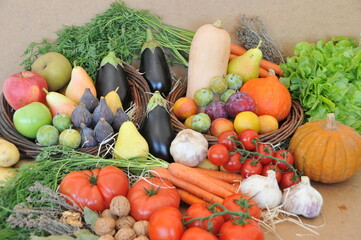 Assortiment de fruits et légumes d'automne frais