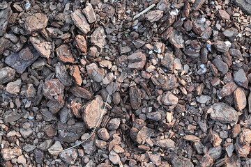 texture of bark pieces as ground cover, bark pieces covering the surface, brown bark close-up 