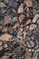 texture of bark pieces as ground cover, bark pieces covering the surface, brown bark close-up 