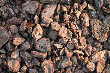 texture of bark pieces as ground cover, bark pieces covering the surface, brown bark close-up 
