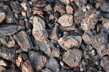 texture of bark pieces as ground cover, bark pieces covering the surface, brown bark close-up 