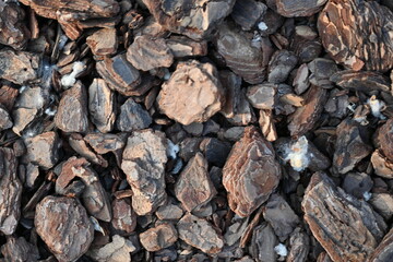 texture of bark pieces as ground cover, bark pieces covering the surface, brown bark close-up 