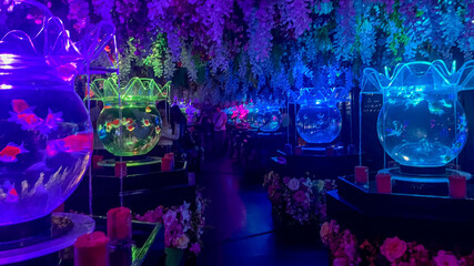 Vibrant LED-lit fish tanks with colorful aquascaping create a mesmerizing atmosphere, perfect for...