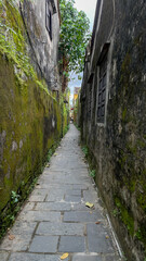 Narrow, moss-covered alleyway in an old town, highlighting traditional architecture and urban exploration, perfect for travel and adventure content