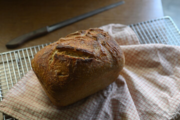 High angle photo of a freshly baked beautiful loaf of sourdough bread in on a kitchen counter