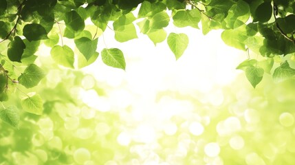 Obraz premium Vibrant green leaves background, a lush and refreshing natural texture lush