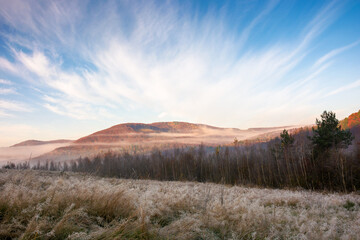 mountain landscape with field and fog in the distance. countryside scenery in autumn at sunrise. cold november
