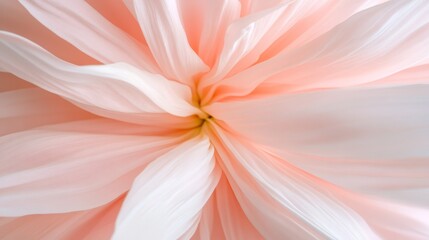 Fototapeta premium Close-up of a pink flower with a white center and yellow stamens