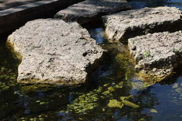 close-up stepping stones across water in sunshine