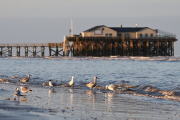 Küstenlandschaft von Sankt Peter-Ording