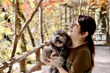 トイプードルと紅葉を楽しむ女性　美く色づいた紅葉　秋の風景