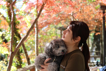 トイプードルと紅葉を楽しむ女性　美く色づいた紅葉　秋の風景