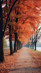 Autumn trees landscape outdoors nature.