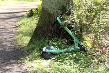 Elektroroller im Wald