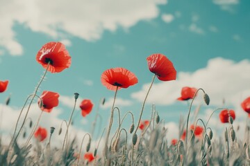 Vibrant field of red poppies blooms under a bright sky. The flowers dance in the breeze, creating a serene and tranquil scene. Perfect for nature lovers. Generative AI