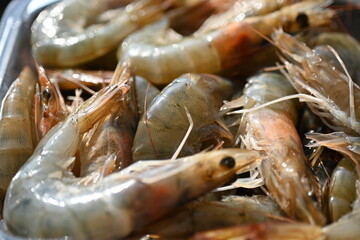 shrimp, carcasses of fresh grey thawed shrimp close up, shrimp tails fresh for cooking 