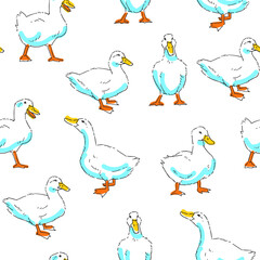 Vector seamless pattern with funny ducks in sketch style isolated on white. Hand drawn color texture with birds.