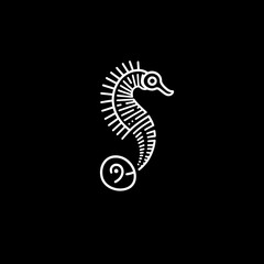Fototapeta premium A white line drawing of a seahorse on a black background.